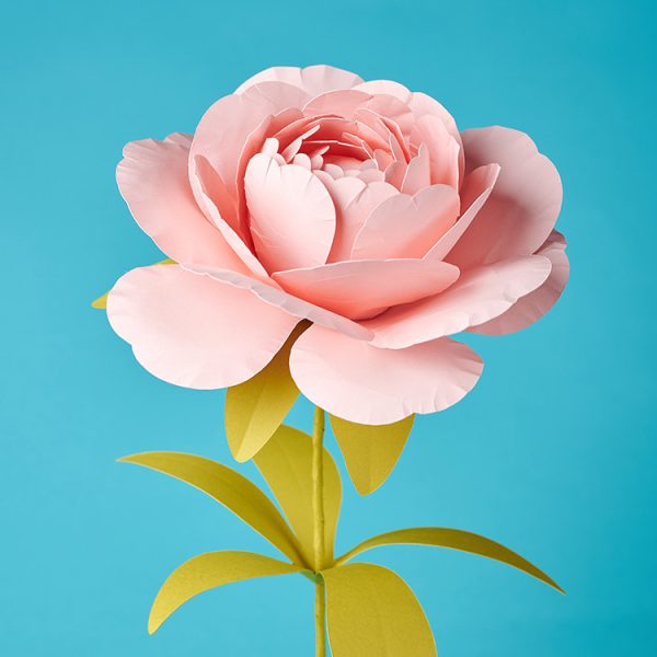 Pink handmade paper peony