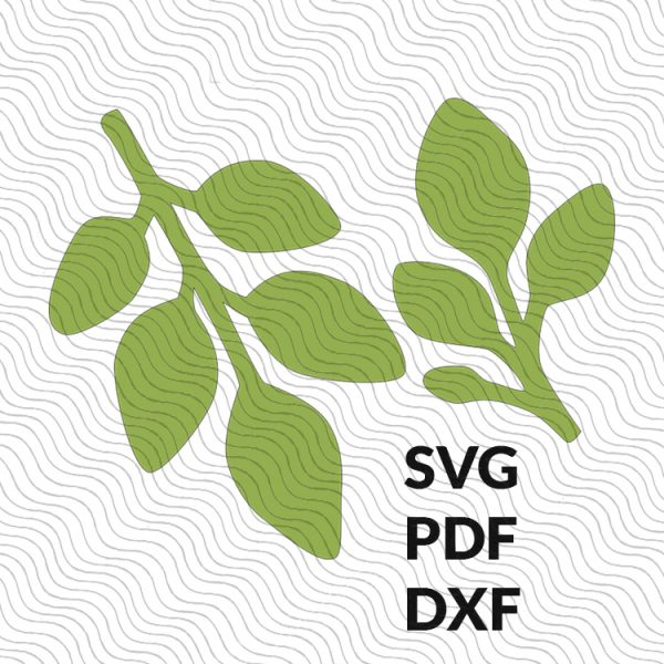Eucalyptus Paper Leaf Template