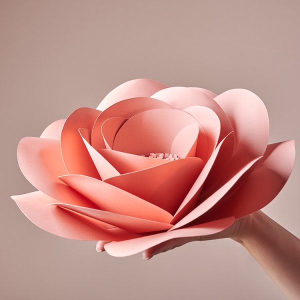 DIY large paper flower garden rose