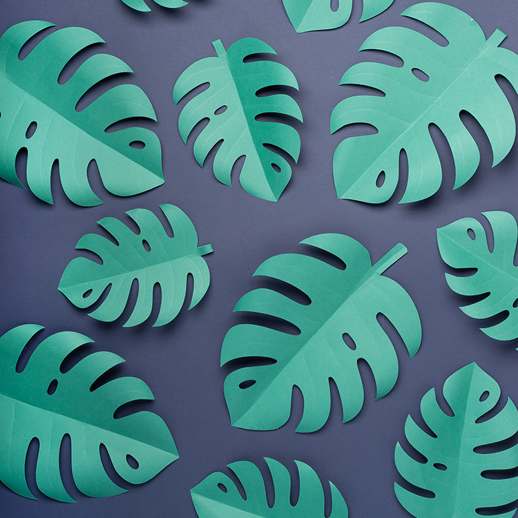 jungle leaf cut outs