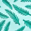 Paper spruce branches