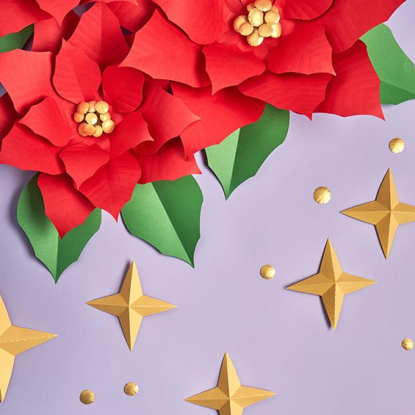 3D Paper Star Template - OGCrafts