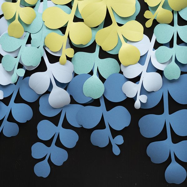 eucalyptus paper leaf backdrop