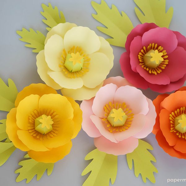 paper Iceland poppies