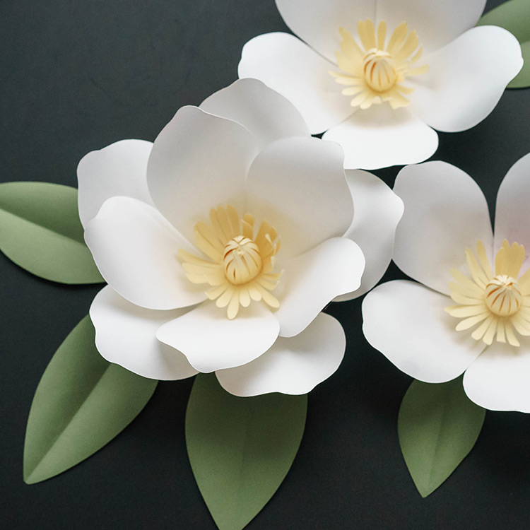 Magnolia Paper Flower Template - OGCrafts