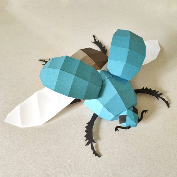 cardboard insect template
