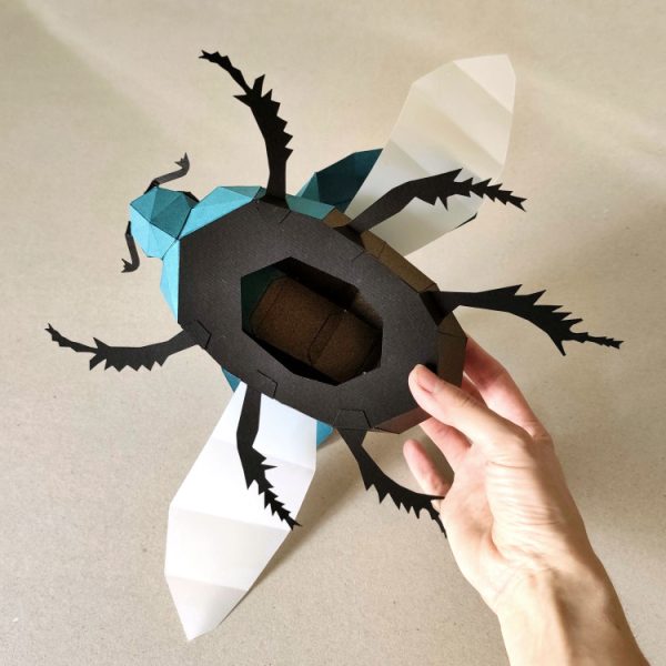 cardstock Chafer beetle paper craft